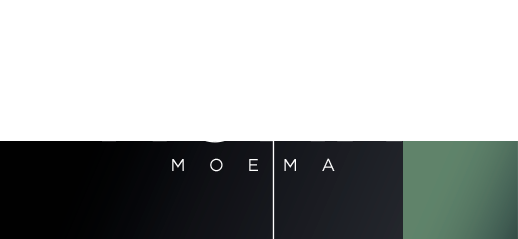 Logo moma moeda